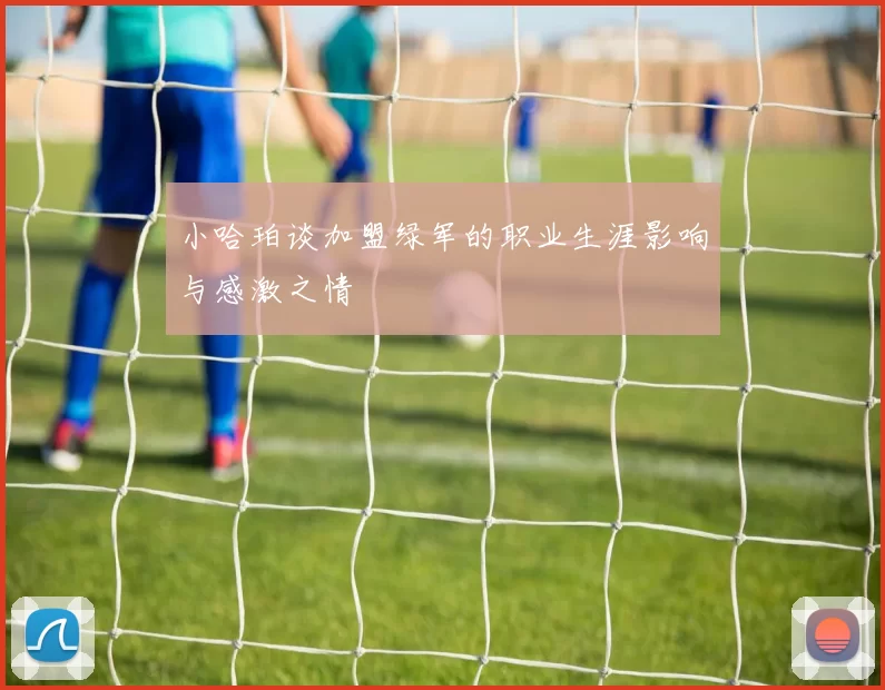 小哈珀谈加盟绿军的职业生涯影响与感激之情