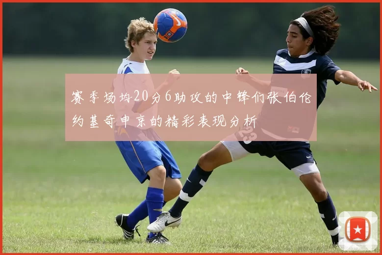 赛季场均20分6助攻的中锋们张伯伦约基奇申京的精彩表现分析